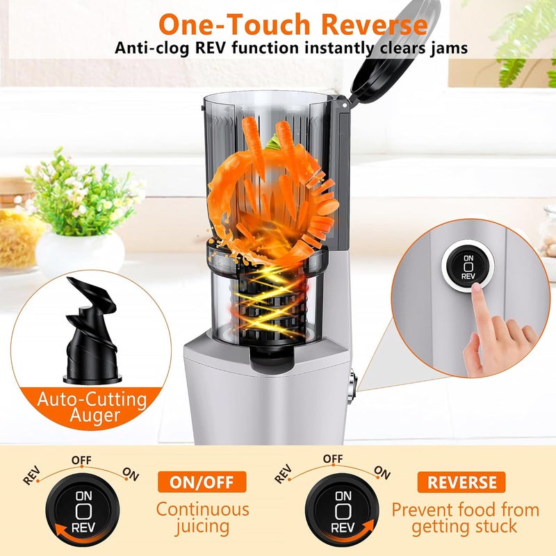 shengkefty Cold Press Juicer Machine, Slow Masticating Juicer with 96% Yield, Wide Chute for Whole Fruits, Ultra Quiet (<60dB) for Leafy Greens & Celery (Silvery) - Image 4